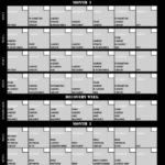 Download Insanity Workout Schedule Printable PDF