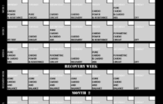 Download Insanity Workout Schedule Printable PDF