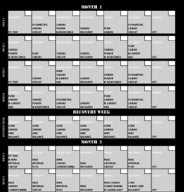 Download Insanity Workout Schedule Printable PDF 