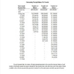 FREE 10 Amortization Schedule Examples Samples In PDF