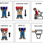Toileting Schedule Handling Underwear And Pants In