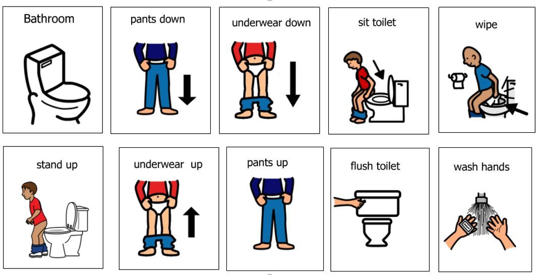Toileting Schedule Handling Underwear And Pants In 