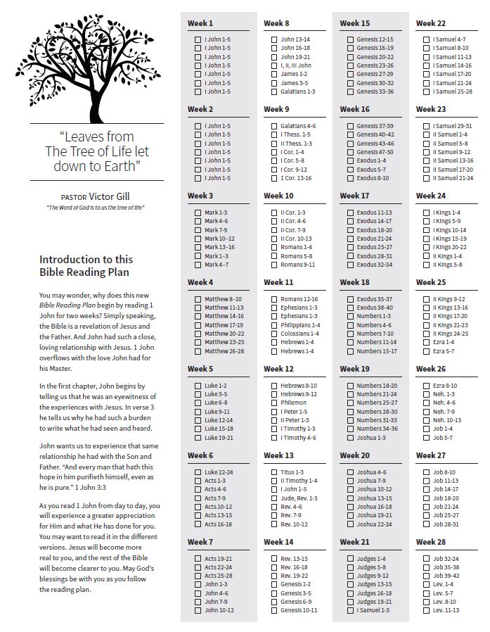 New Bible Reading Plan Now Available AD Work Blog