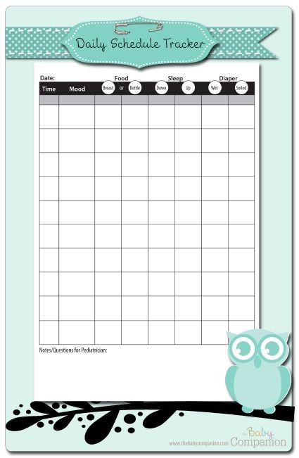 Baby Schedule Template For Nanny You Will Never Believe 
