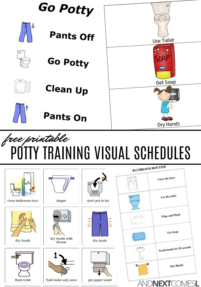 Free Potty Training Visual Schedules And Next Comes L 
