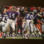 Northwestern Wildcats 1986 NCAA Football Pocket Schedule