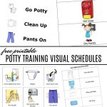Free Potty Training Visual Schedules And Next Comes L
