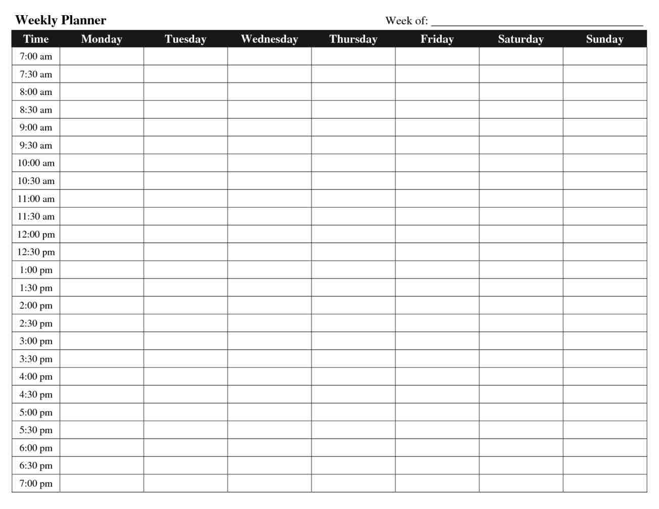 Hourly Schedule Template Task List Templates