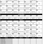 Insanity Workout Schedule Download Printable PDF