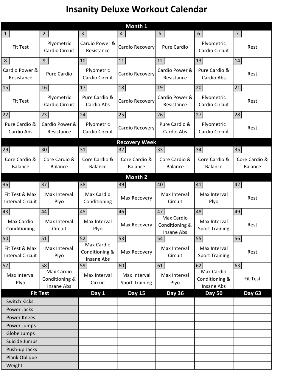Insanity Workout Schedule Download Printable PDF 