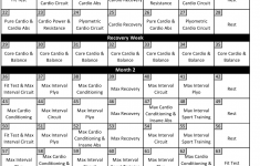 Insanity Workout Schedule Download Printable PDF