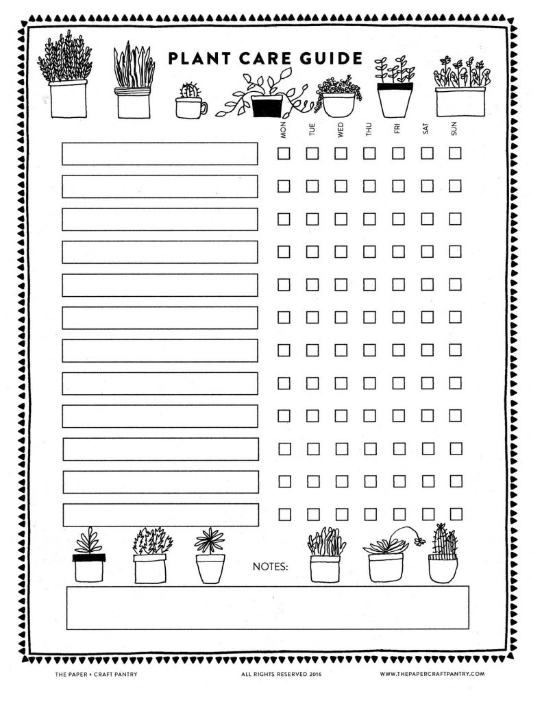 Printable Plant Care Guide Indoor Plant Care Plant