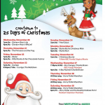 ABC Family 25 Days Of Christmas Pre holiday Movie Schedule