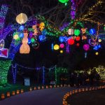 Best Botanical Garden Holiday Lights Winners 2019 USA