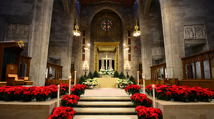 Christmas At The Cathedral Cathedral Of Mary Our Queen