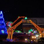 Christmas Lights At Charlotte Motor Speedway Video Tour