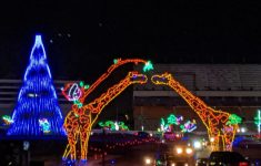 Christmas Lights At Charlotte Motor Speedway Video Tour