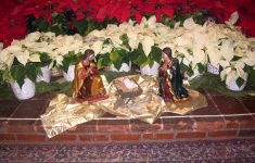 Christmas Mass Schedule Mission Basilica San Diego De Alcal