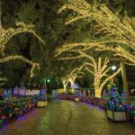 Christmas Town Returns To Busch Gardens Tampa On The Go