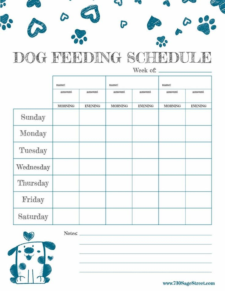 Free Printable Feeding Schedule To Track Your Dog S Food