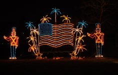 Hines Park Christmas Lights 2020 Best New 2020