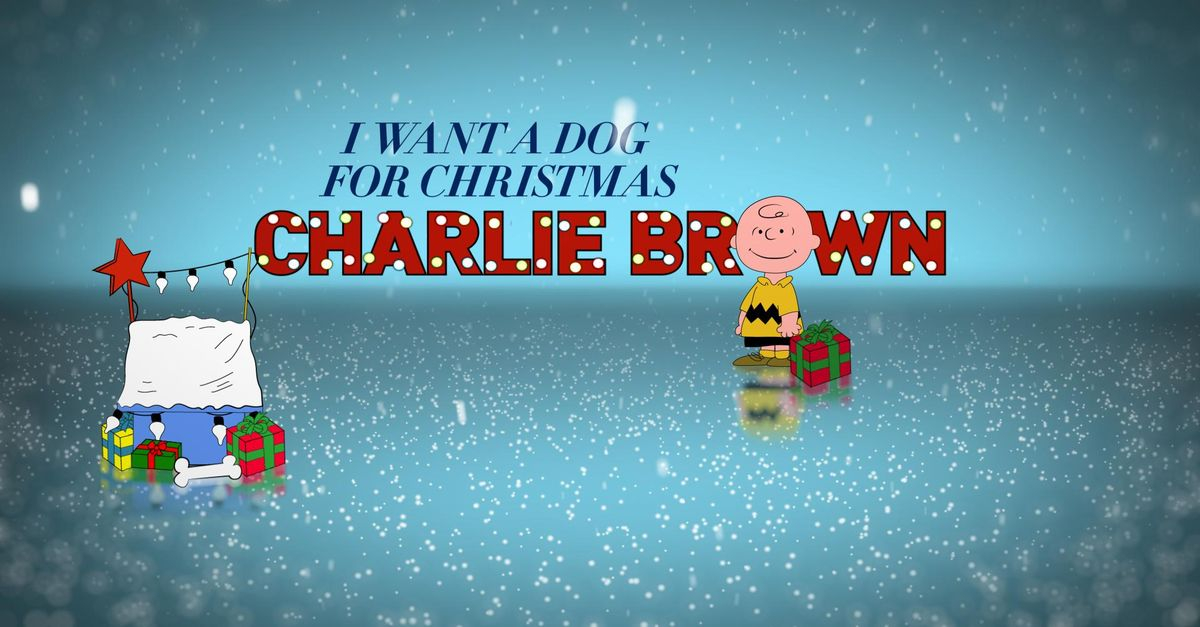I Want A Dog For Christmas Charlie Brown ABC