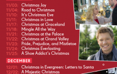 Lifetime Christmas Movies 2021 Schedule Wavewebdesign