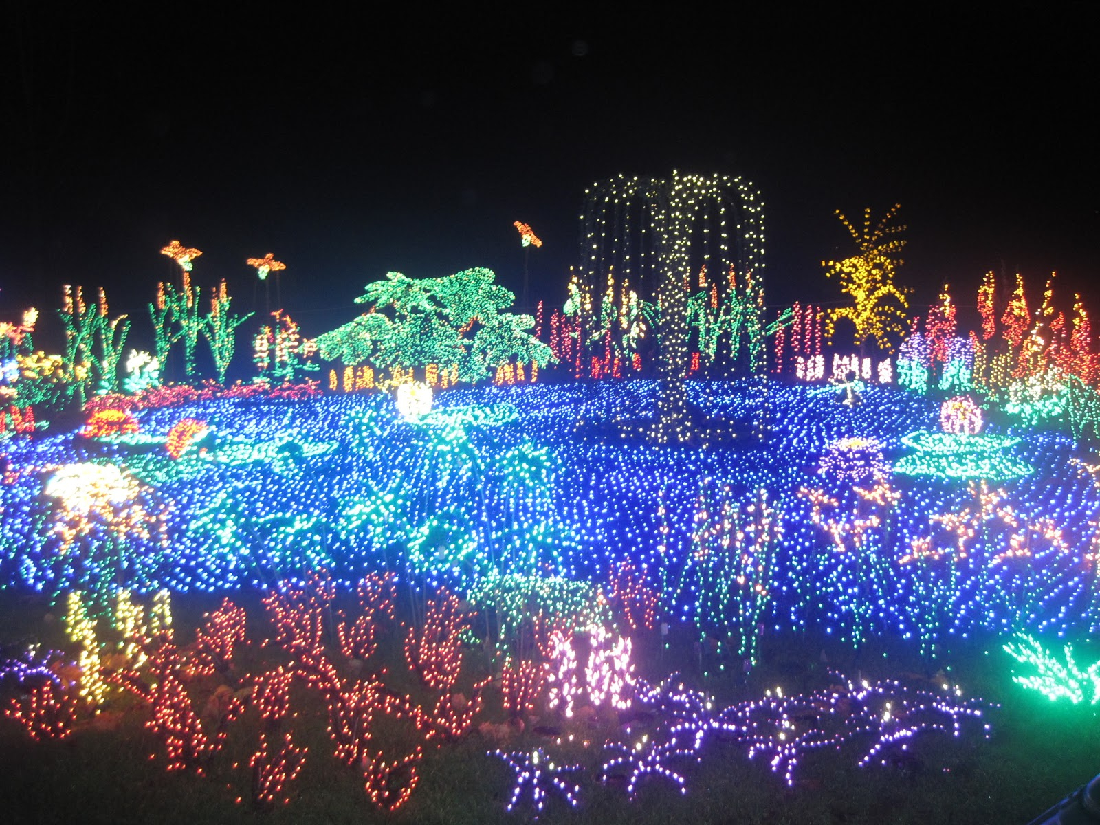 Mason Manor Botanical Garden Christmas Lights