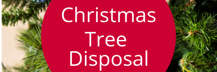 Rumpke Provides Christmas Tree Disposal Holiday Trash 