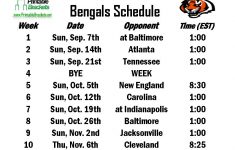 Bengals Schedule Cincinnati Bengals Schedule