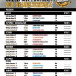 2021 Packers Schedule Gold Package Printable Schedule
