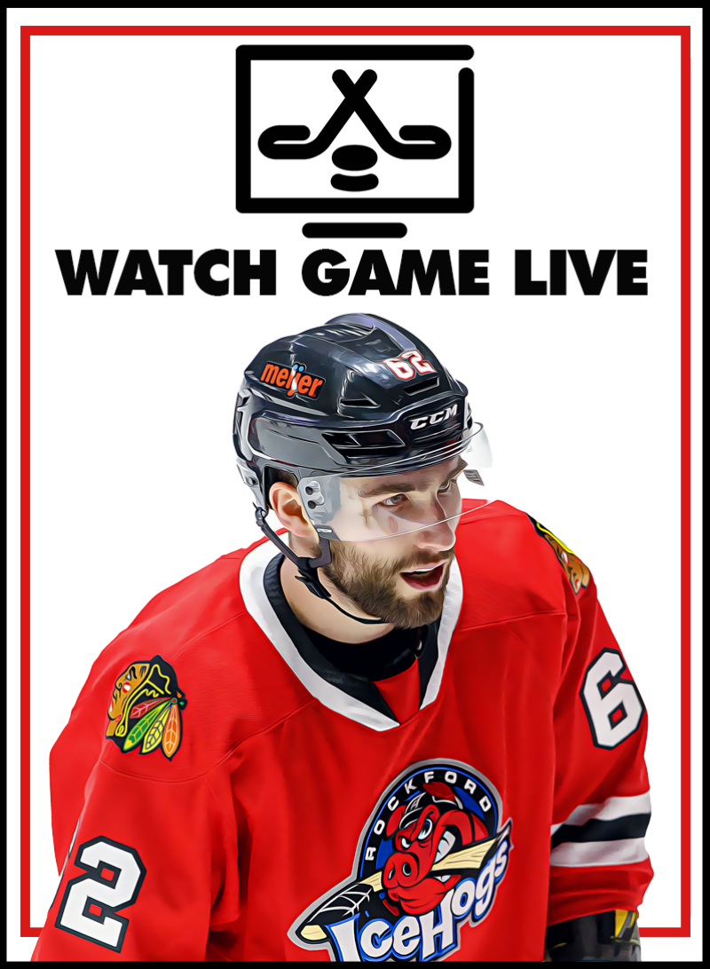 Rockford IceHogs AHL Affiliate Of The Chicago Blackhawks