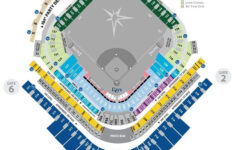 Tampa Bay Rays Seating Chart In 2020 Tampa Bay Rays